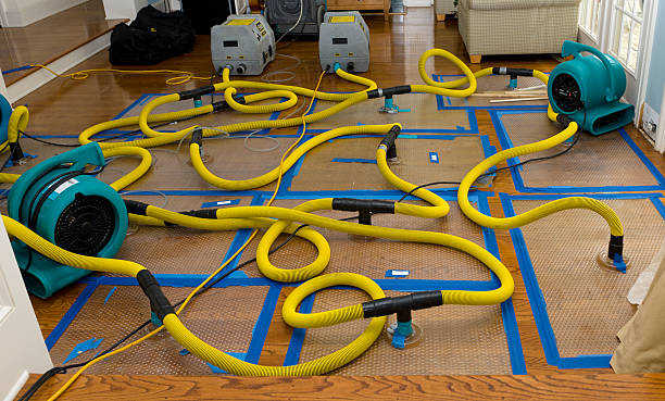 Professional Emergency Water Removal technician working in Lissie, TX